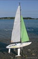 RC Sailboat Triumph 800 1