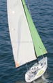 RC Sailboat Triumph 800 2