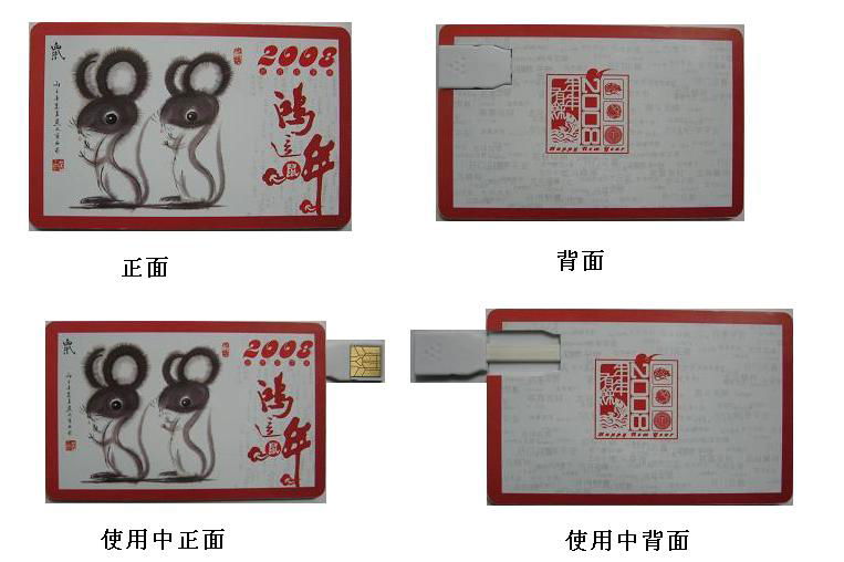 High speed USB 1.1 / 2.0 Flash Disk