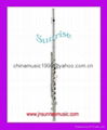 Flute 16 Holes With E Mechanism (Hot)