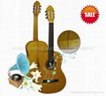 Classical Guitar String Instrument 1