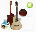 Classical Guitar String Instrument 2