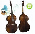 Double Bass String Instrument Electric Bass Violin Cello 3