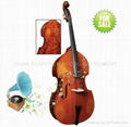 Double Bass String Instrument Electric Bass Violin Cello 4