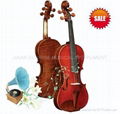 Violin (Hot) Viola Cello Double Bass String Instrument 2