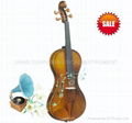 Violin (Hot) Viola Cello Double Bass String Instrument 4