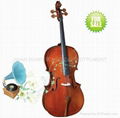 Cello (Black Hot) 3