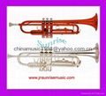 Trumpet (High Quality)