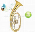 Baritone (Piston) Euphonium Tuba French Horn Brass Wind Instrument 3