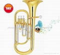 Baritone (Piston) Euphonium Tuba French Horn Brass Wind Instrument 4