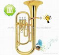 Baritone (Piston) Euphonium Tuba French Horn Brass Wind Instrument 5