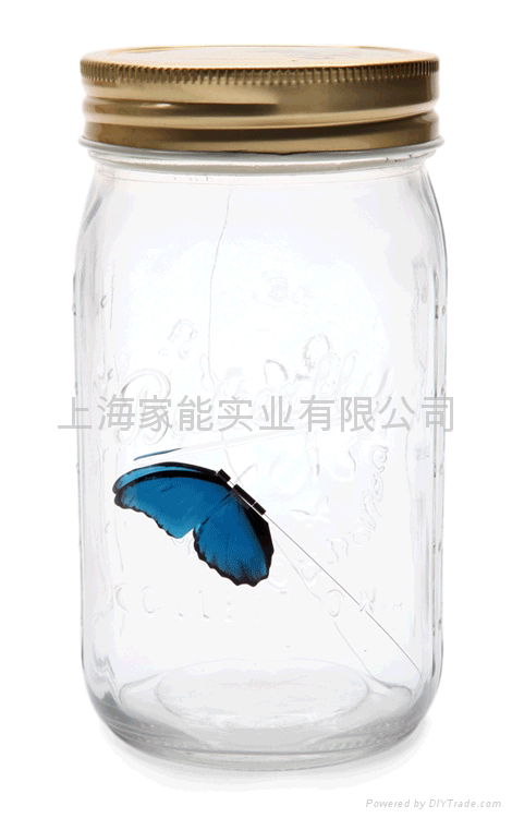 Electronic butterfly in a jar 5