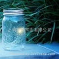 Firefly jar supplier 2