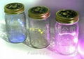 Firefly jar supplier 3