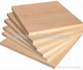 Plywood MDF BlockBoard