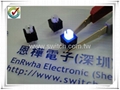 Illuminated Push Switch 2