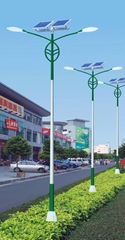 Solar street light 05