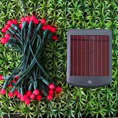 LED Solar Berry String light