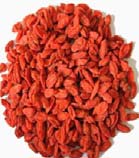 goji berry