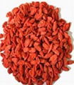 goji berry