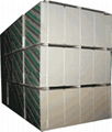 Gypsum board