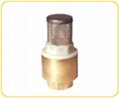 Brass One-way Check Valve With Stainless Steel Filter Forged Body