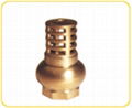 Brass Foot Valve Casting Body