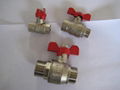 ball valve 1