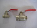 ball valve 1