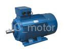 Three Phase Asynchronous Motor