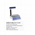 Price computing scale 2