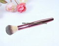 Powder brush