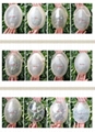 hair pieces toupee 4
