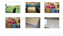 Stainless Steel Sheets&Coils