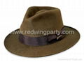 cowboy hat/felt hat/pirate hat/borsalino