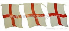 Flag and bunting/car flag/pennant