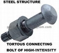 steel structure tortous connecting bolt of high intensity 1