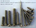 bolt, screws,fasteners 5