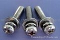Stainless steel fasteners, bolts, screws,nuts (special stainless steel bolts) 3
