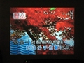 HIgh Definition Projector 2