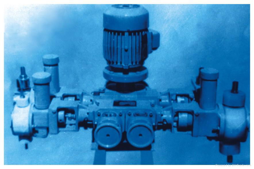 Multi Head Plunger & Diaphragm Pumps