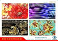 Digital Inkjet Textile Printing 3