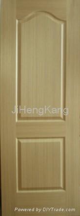 HDF VE-Door Skin 2