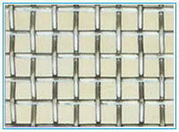 Galvanized square wire mesh