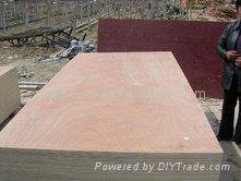 okoume , birch ,meranti plywood, commercial plywood