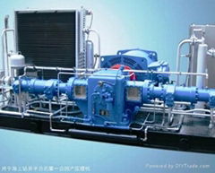 CNG STATION EQUIPMENT, CNC COMPRESSOR,DISPENSER,CYLINDER