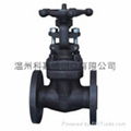 ball valves  forged steel gate valves 3