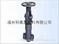 gate valve 1