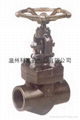 globe valve