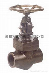 globe valve